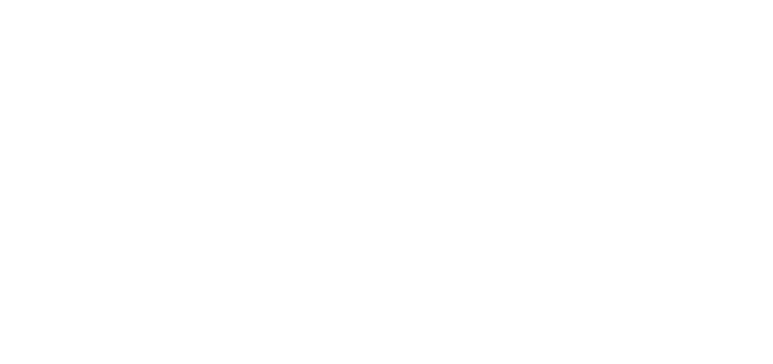 Logo Bianca Czischek Reitunterricht